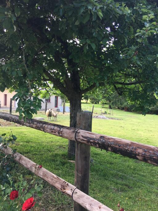 Villa Gite De La Poupardiere, Maison De Campagne En Bordure De Riviere - 2 Nuits Minimum Les Cresnays Exterior foto